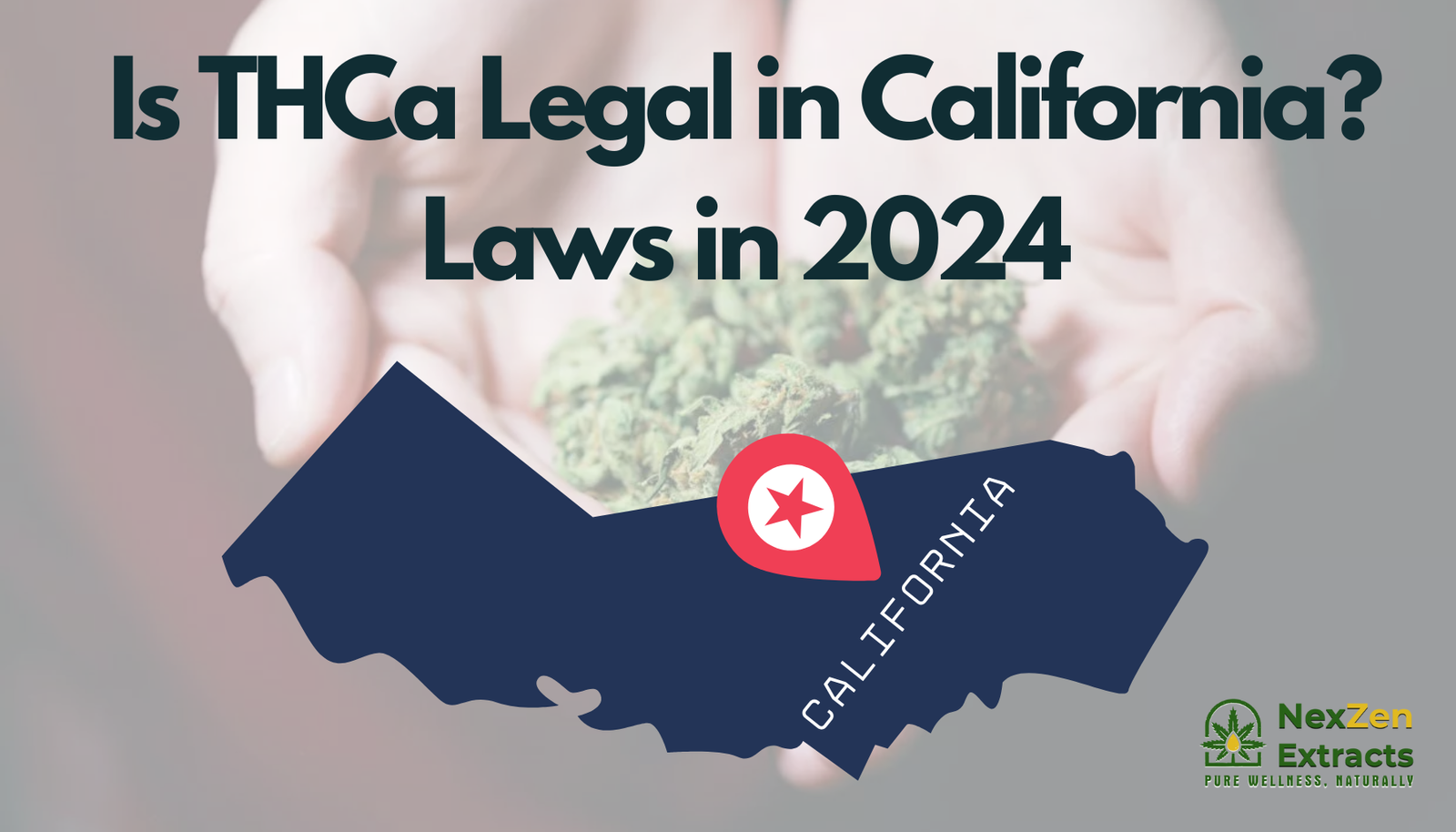 Is THCa Legal in California? Laws in 2024