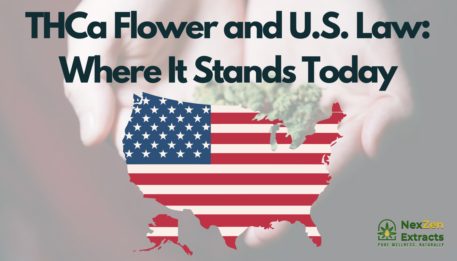 THCa Flower and U.S. Law: Where It Stands Today