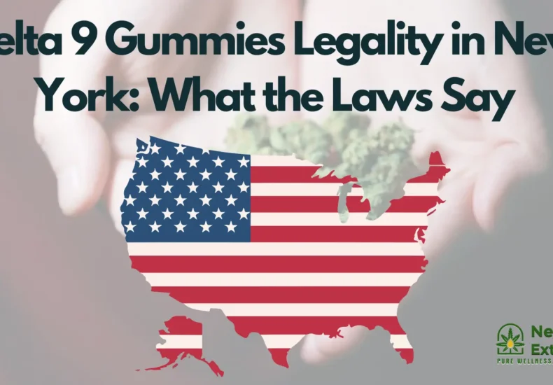 Delta 9 Gummies Legality in New York: What the Laws Say