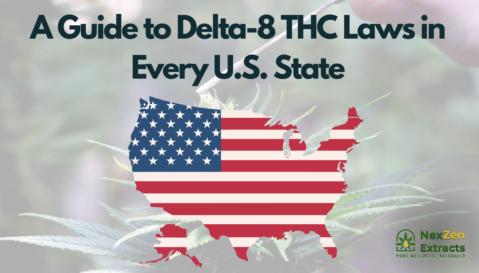 A Guide to Delta-8 THC Laws in Every U.S. State