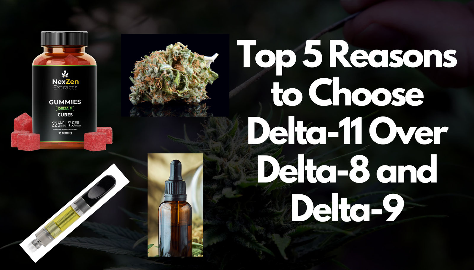 Top 5 Reasons to Choose Delta-11 Over Delta-8 and Delta-9