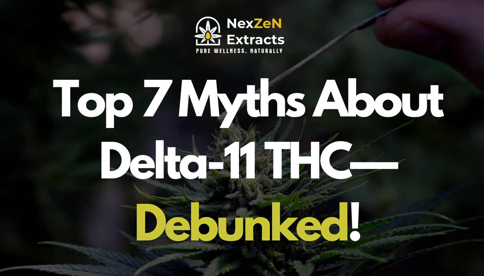 Delta 11 Top Myths