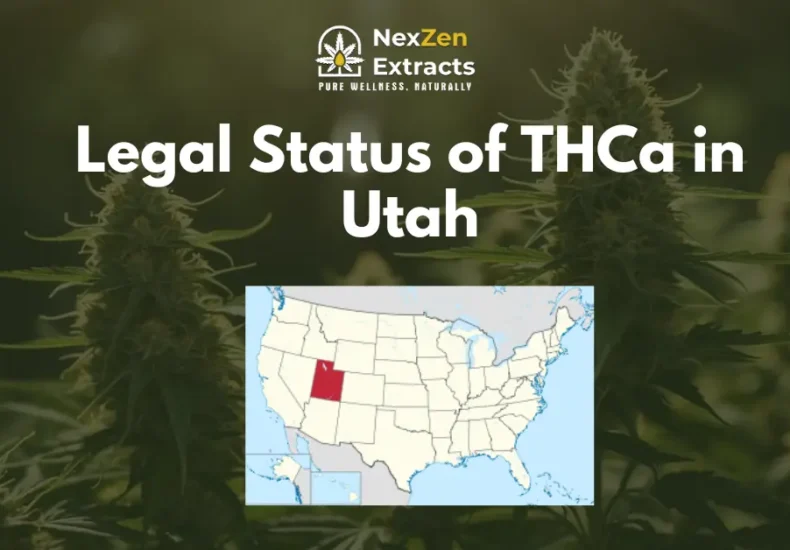 Navigating Utah’s Cannabis Laws