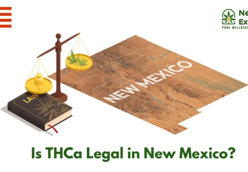 Is THCa Legal in New Mexico? A Detailed Guide