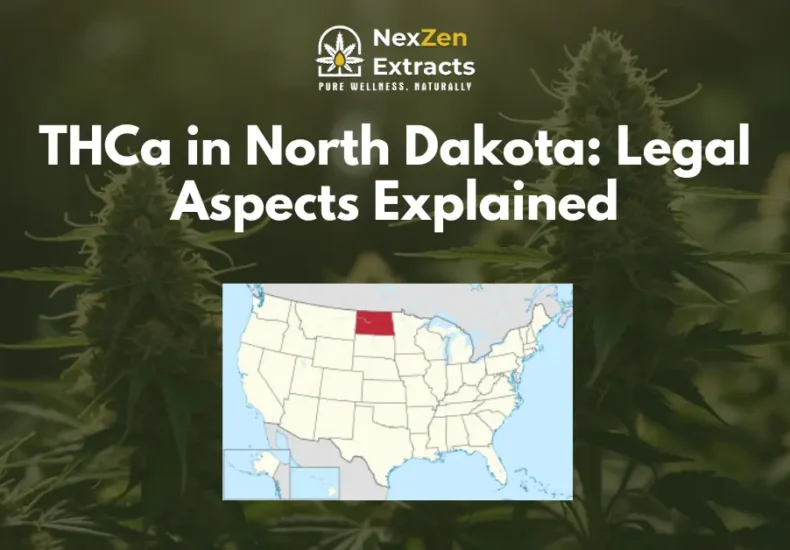 Legal Framework in North Dakota