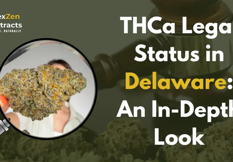 THCa Legal Status in Delaware: An In-Depth Look