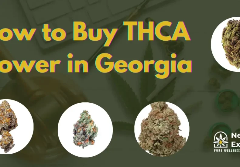 How to Buy THCA Flower in Georgia