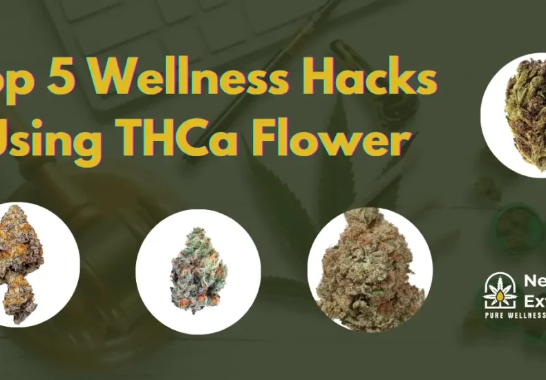 Top 5 Wellness Hacks Using THCa Flower