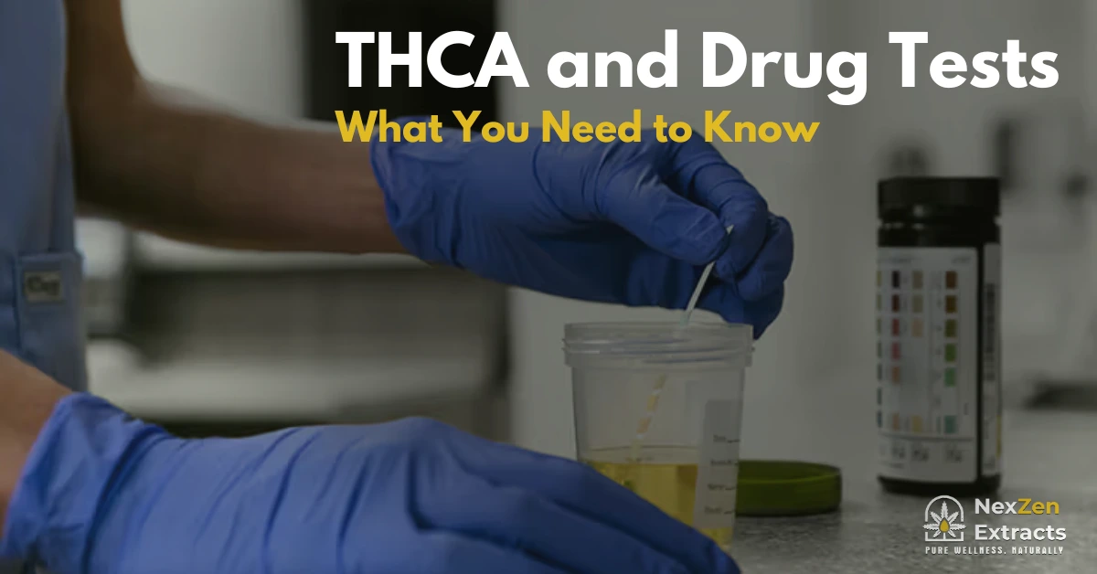 THCA and Drug Tests: What You Need to Know