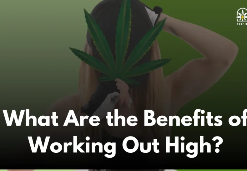 What Are the Benefits of Working Out High?