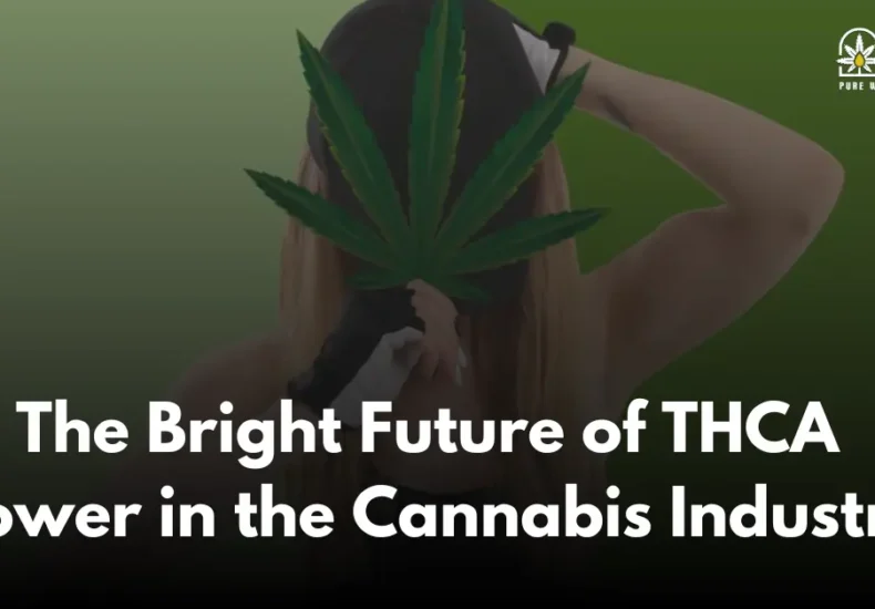 The Bright Future of THCA Flower in the Cannabis Industry