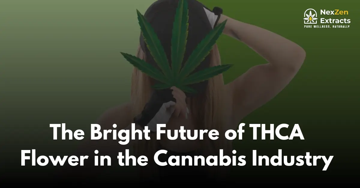 The Bright Future of THCA Flower in the Cannabis Industry