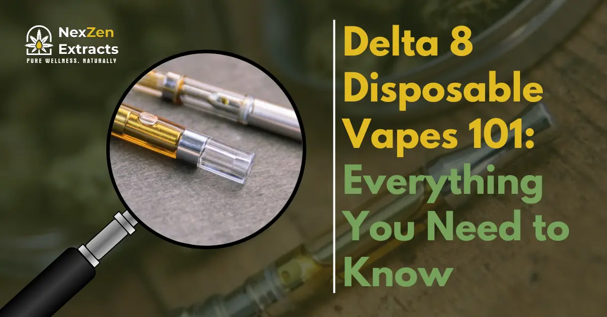 Delta 8 Disposable Vapes 101: Everything You Need to Know