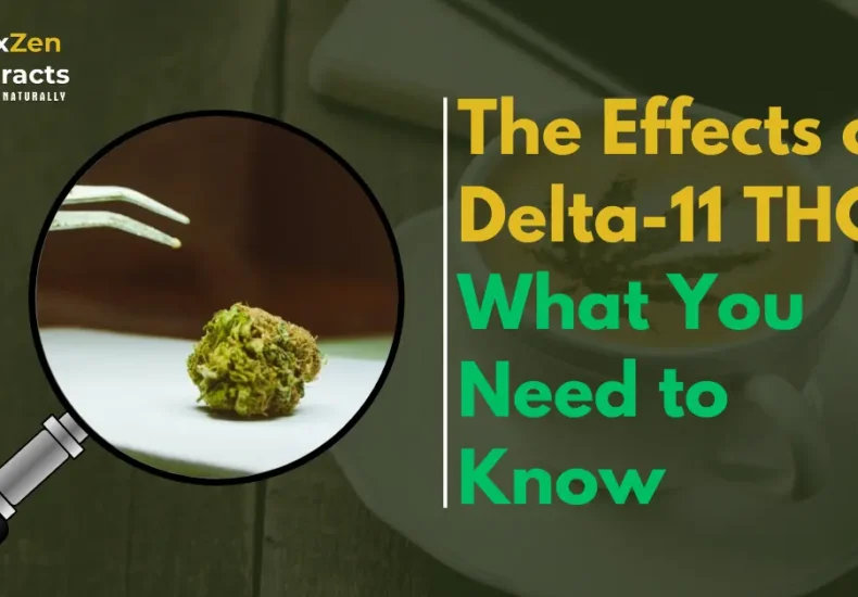 The Effects of Delta-11 THC: What You Need to Know