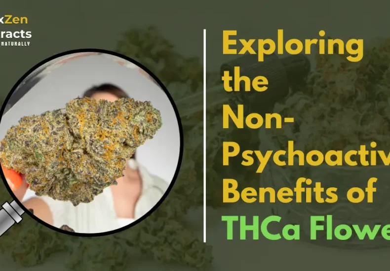 Exploring the Non-Psychoactive Benefits of THCa Flower