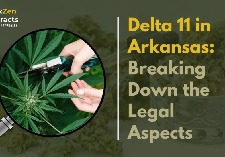 Delta 11 in Arkansas: Breaking Down the Legal Aspects