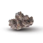 THCa Flower – Space Junkie - Image 2