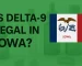 Is delta 9 legal in IOWA