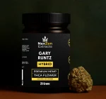 Gary Runtz - Image 3