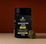 Quarantine Kush - Image 3
