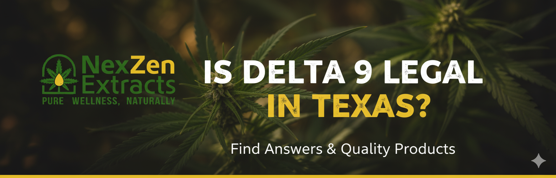 is delta 9 legal in texas