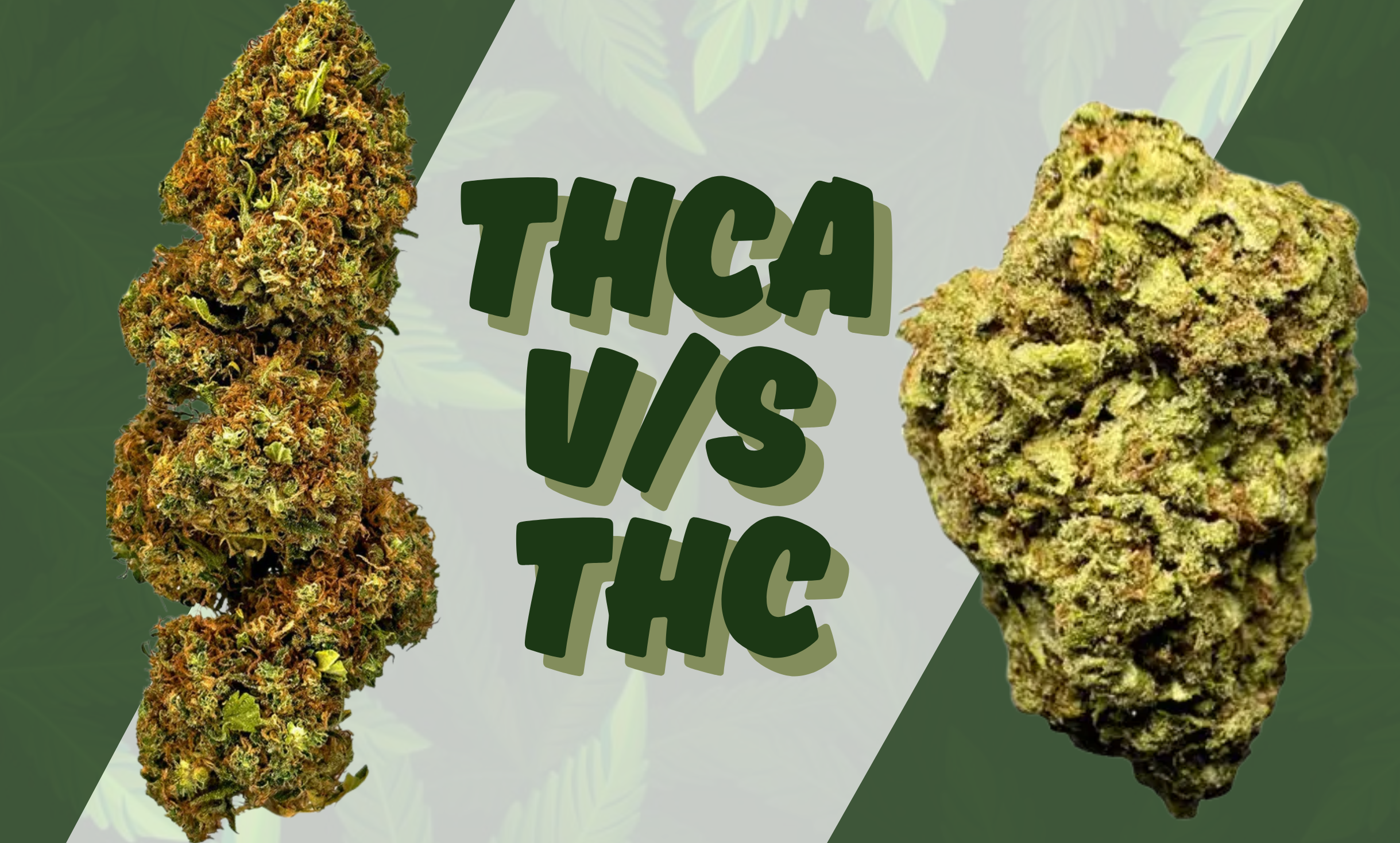 thca vs thc