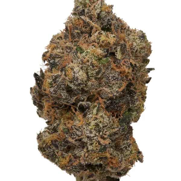 Sunset Sherbet THCA Flower