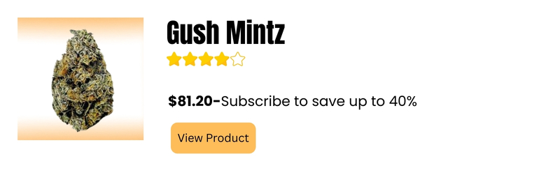 Gush Mintz
