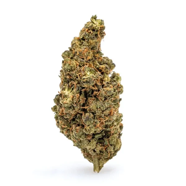 Amnesia Haze THCa Flower