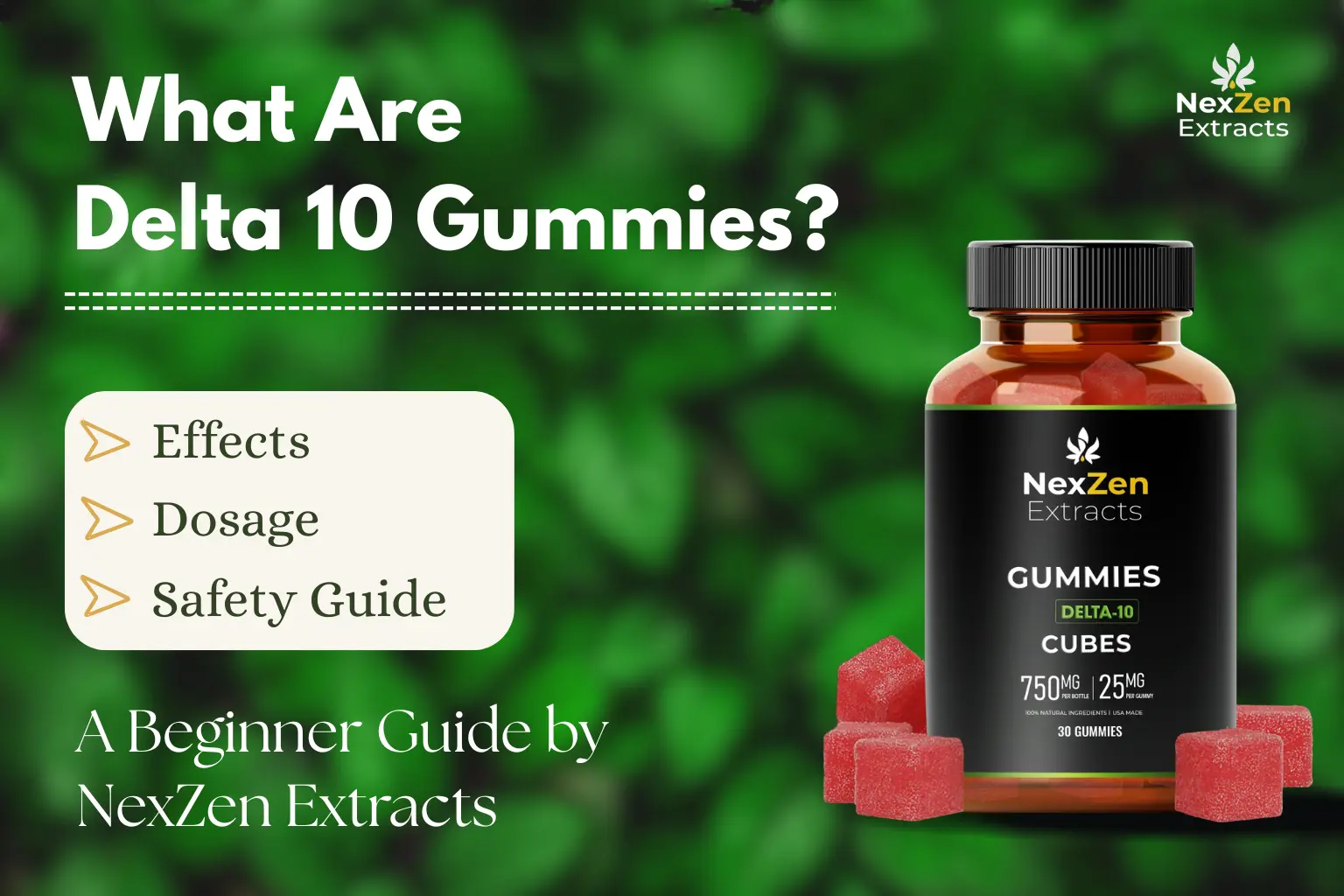 What Are Delta 10 Gummies? Effects, Dosage & How to Choose the Best