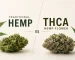 THCA Hemp Flower