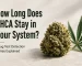 How Long Does THCA Stay in Your System?