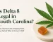 Is delta 8 legal in south Carolina
