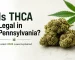 Is THCA Legal in Pennsylvania