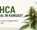Is THCA Legal in Kansas (2026 Laws & Regulations Explained)